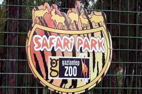 safaripark.jpg (32.27 Kb)