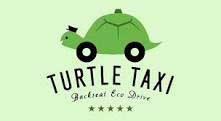 turtle_taxi.jpg (14.86 Kb)