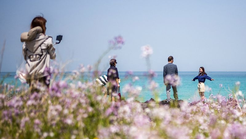 Jeju: Нові правила для іноземних туристів на “Гаваях Південної Кореї”
